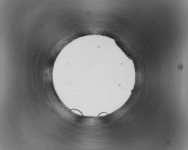 X0000111850286200909031734