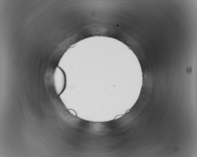 X0000111850287200909031734