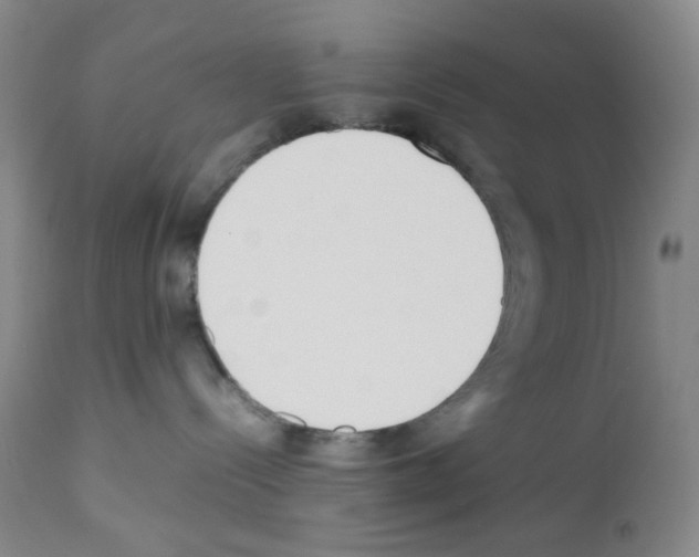 X0000111850288200909031735