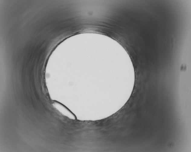 X0000111850289200909031734