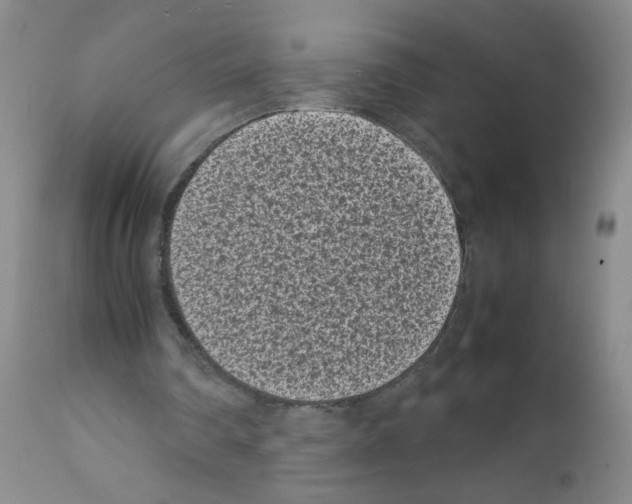 X0000111850290200909031734