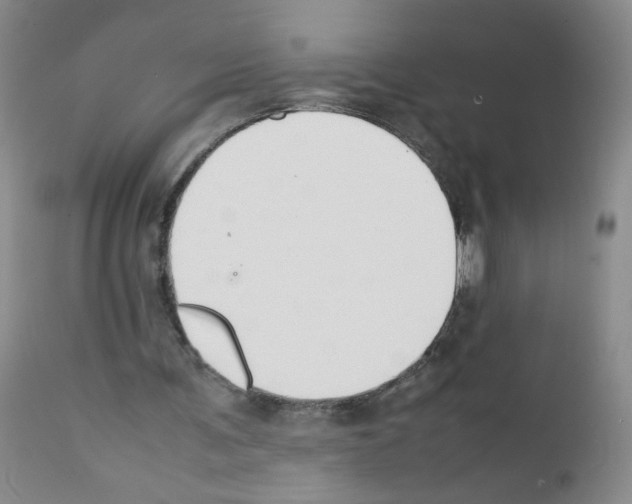 X0000111850291200909031734