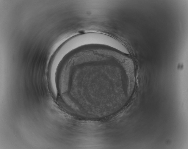 X0000111850292200909031734