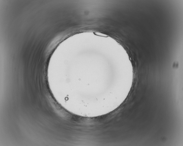 X0000111850293200909031734