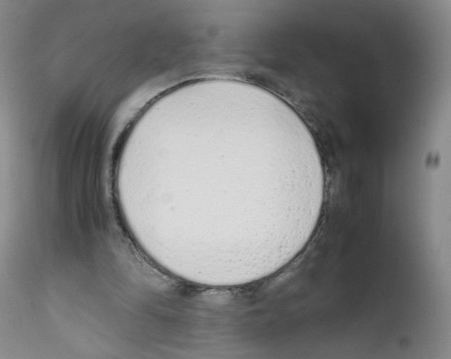 X0000111850294200909031734