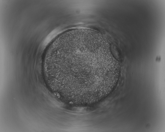 X0000111850295200909031734