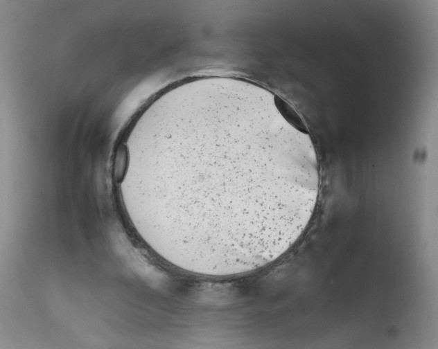 X0000111850296200909031734