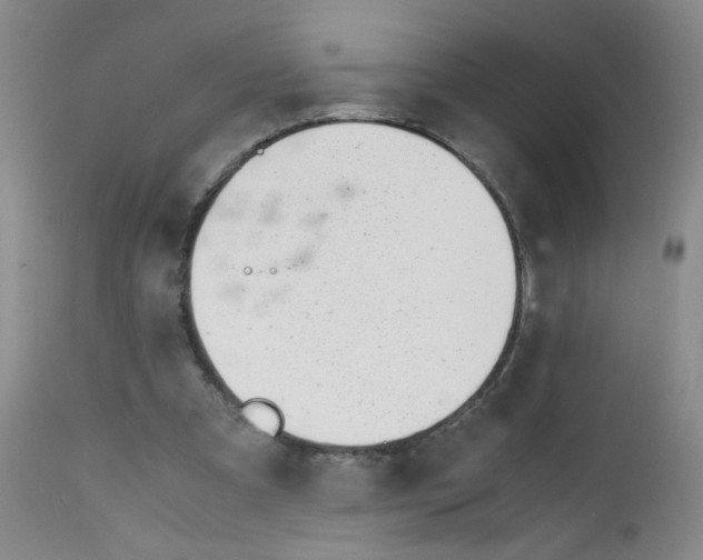 X0000111850297200909031734