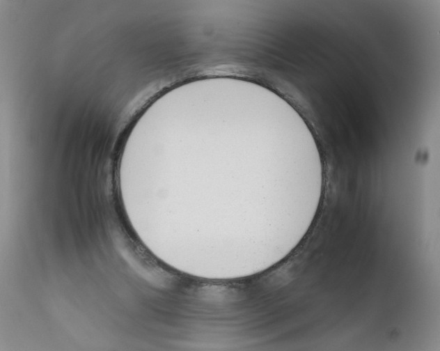 X0000111850298200909031734