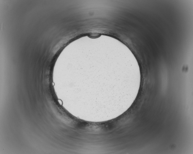 X0000111850299200909031734
