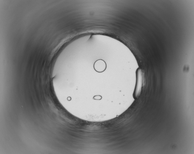 X0000111850300200909031734