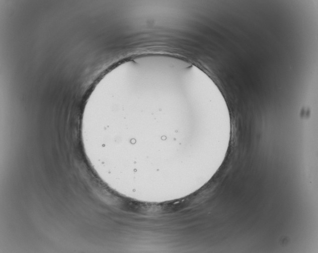 X0000111850301200909031734