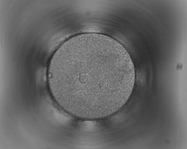 X0000111850302200909031734