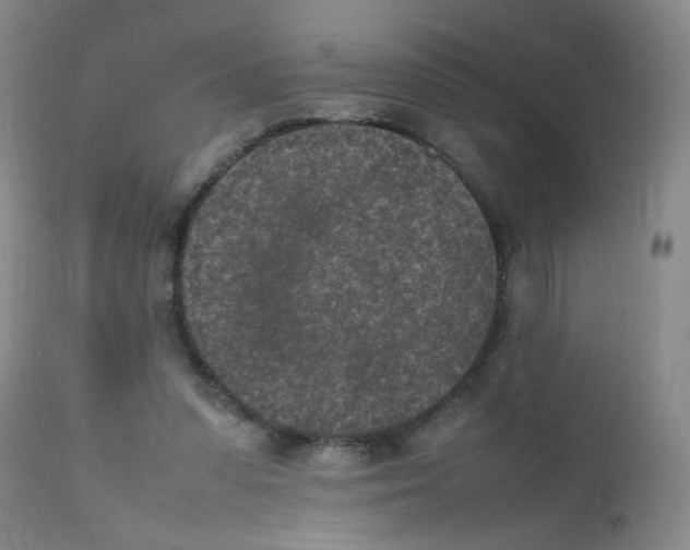 X0000111850303200909031734