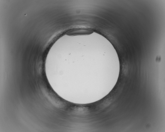 X0000111850304200909031734