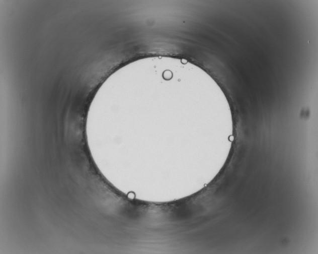 X0000111850305200909031734