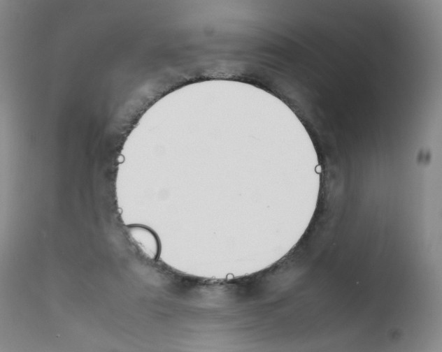 X0000111850307200909031734