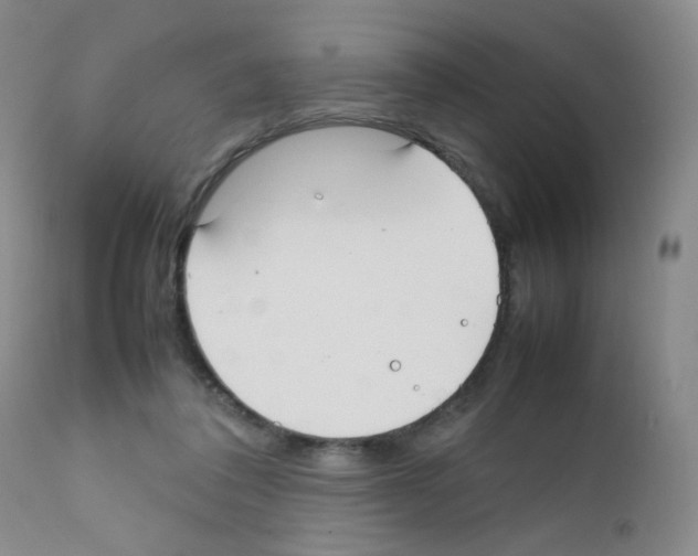 X0000111850308200909031734