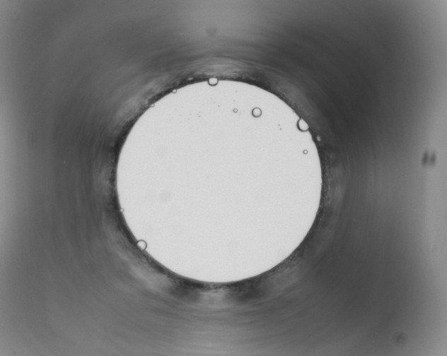 X0000111850309200909031734