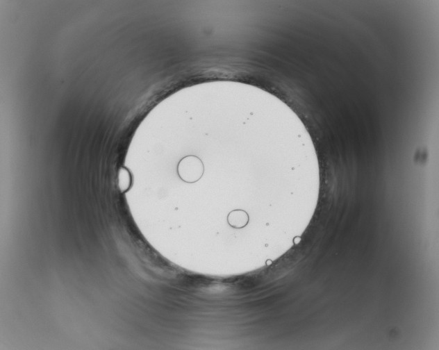 X0000111850312200909031734
