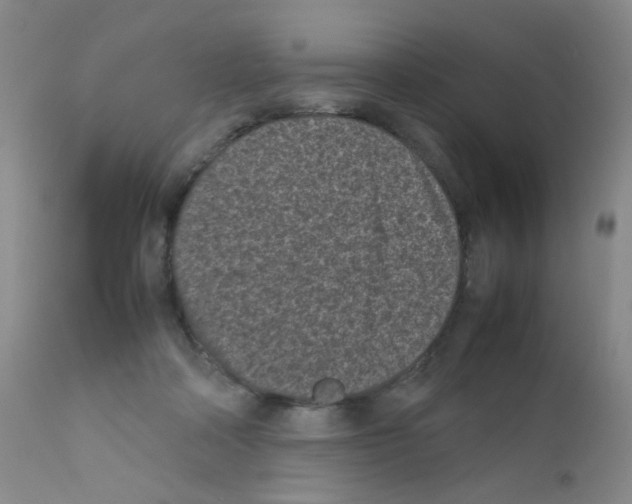 X0000111850314200909031734