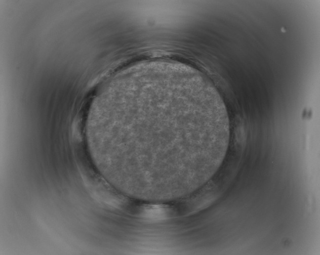 X0000111850316200909031733