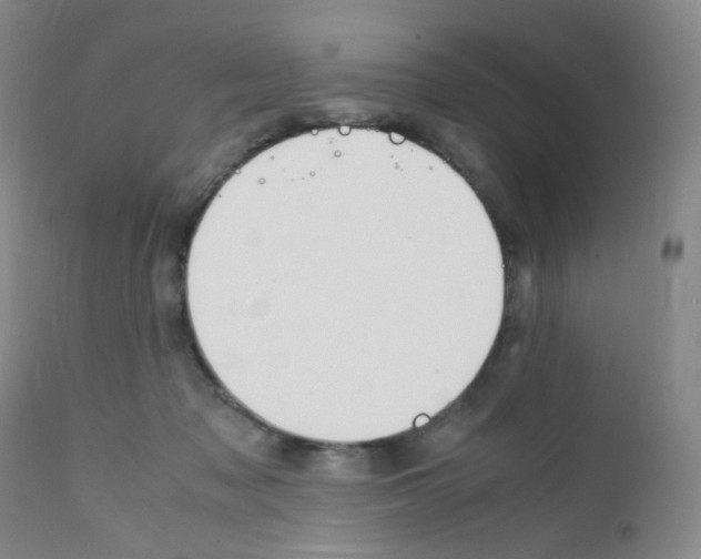 X0000111850317200909031733