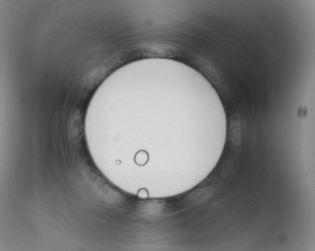 X0000111850318200909031733
