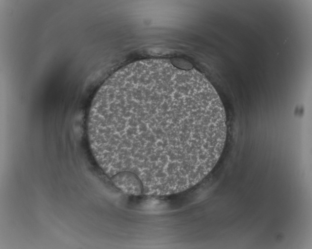 X0000111850319200909031733