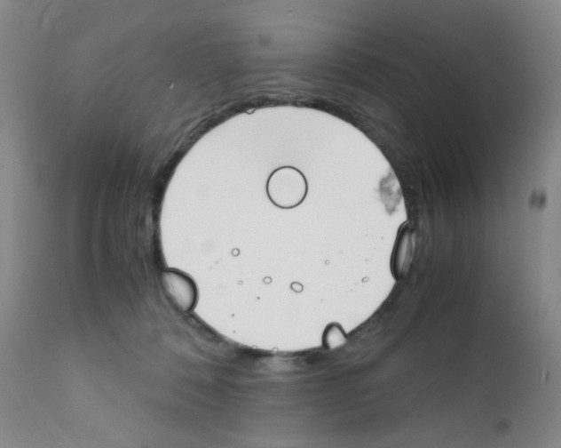 X0000111850320200909031733