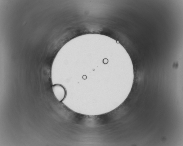 X0000111850321200909031733