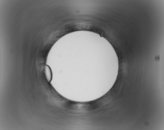 X0000111850323200909031733