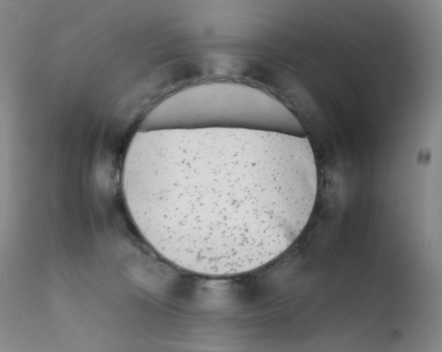 X0000111850324200909031733
