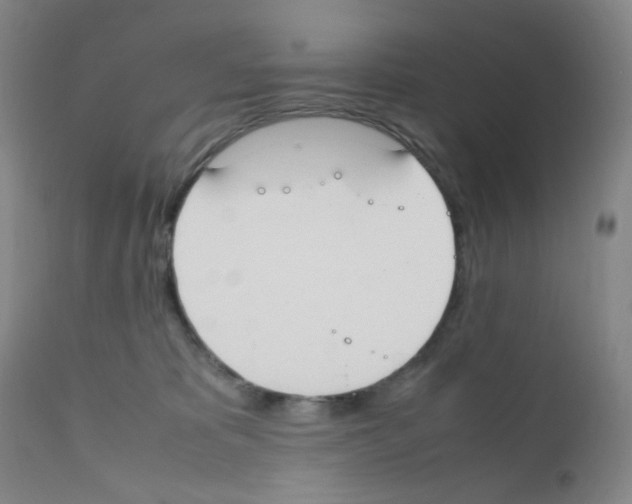 X0000111850325200909031733