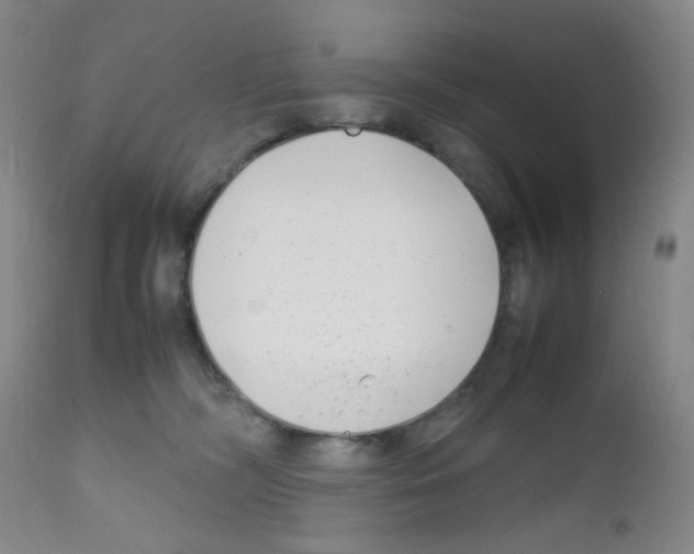 X0000111850326200909031733