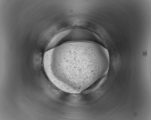 X0000111850328200909031733