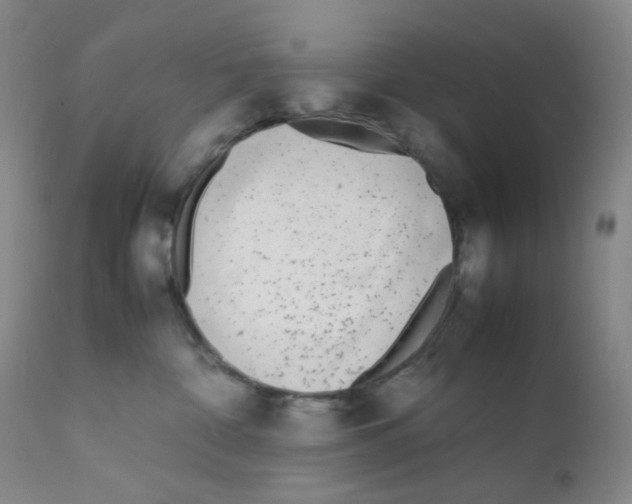 X0000111850332200909031733