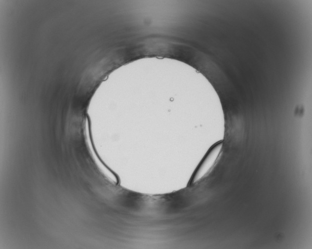 X0000111850333200909031733