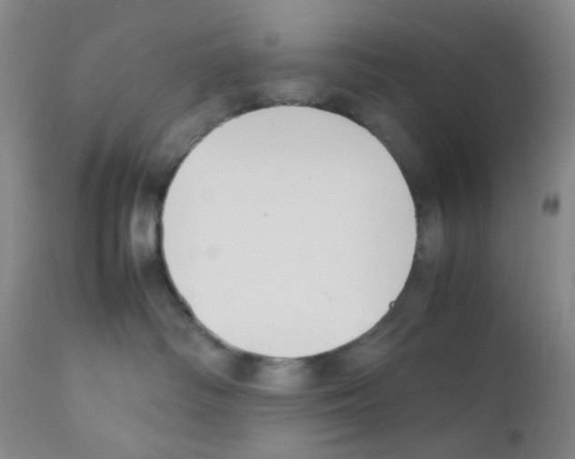 X0000111850334200909031733
