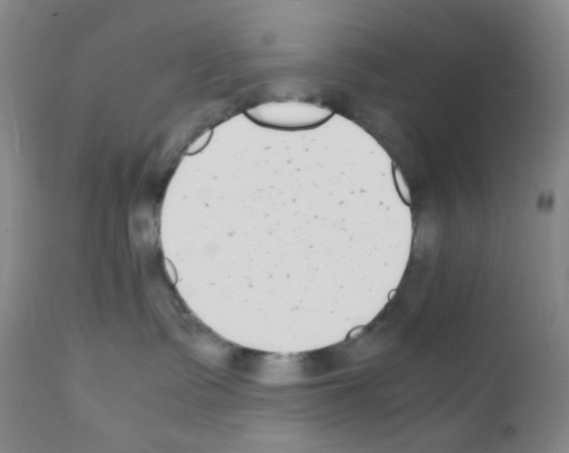 X0000111850335200909031733