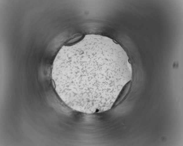 X0000111850336200909031733