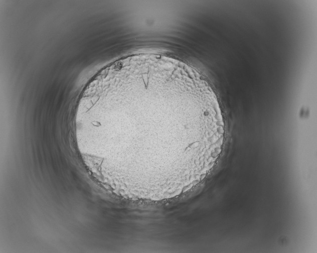 X0000111850337200909031732