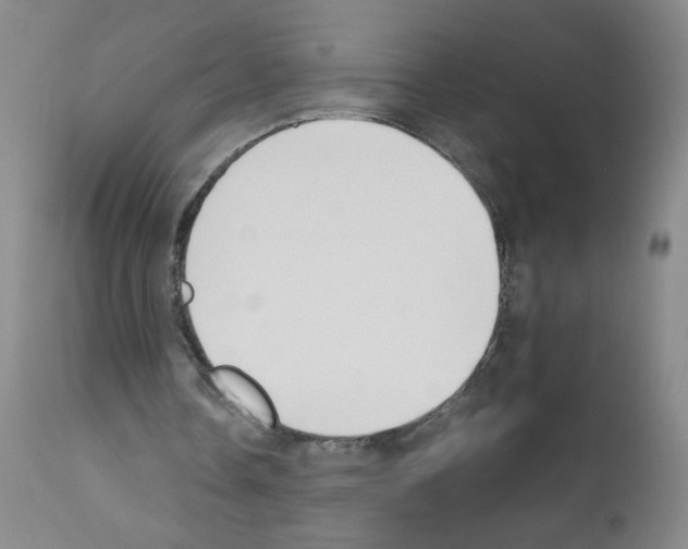 X0000111850338200909031732