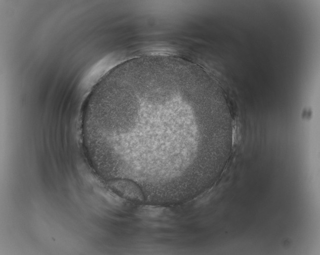 X0000111850339200909031732