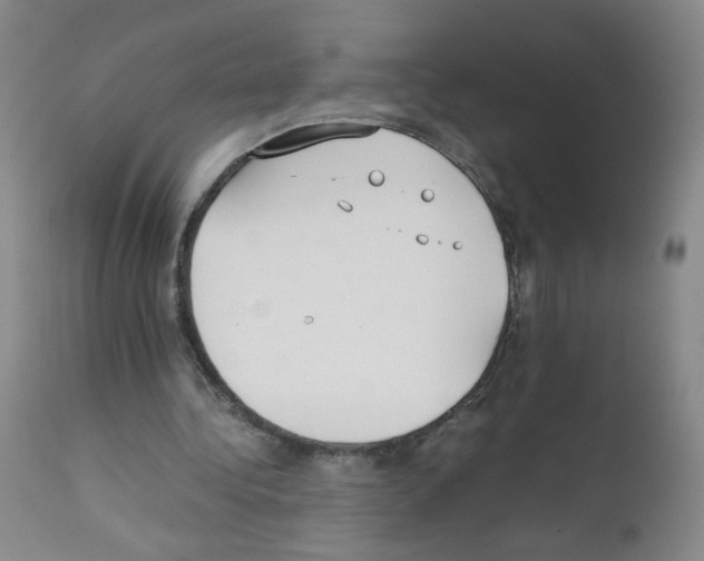 X0000111850340200909031732