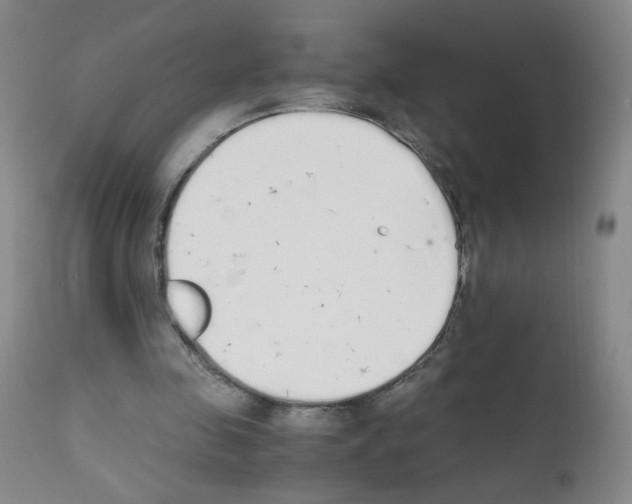 X0000111850341200909031732
