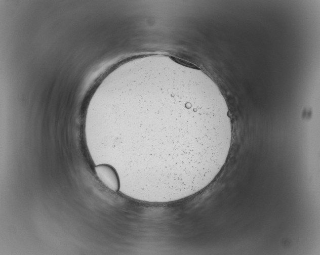 X0000111850342200909031732