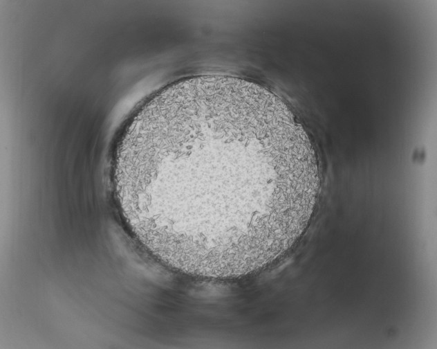 X0000111850343200909031732
