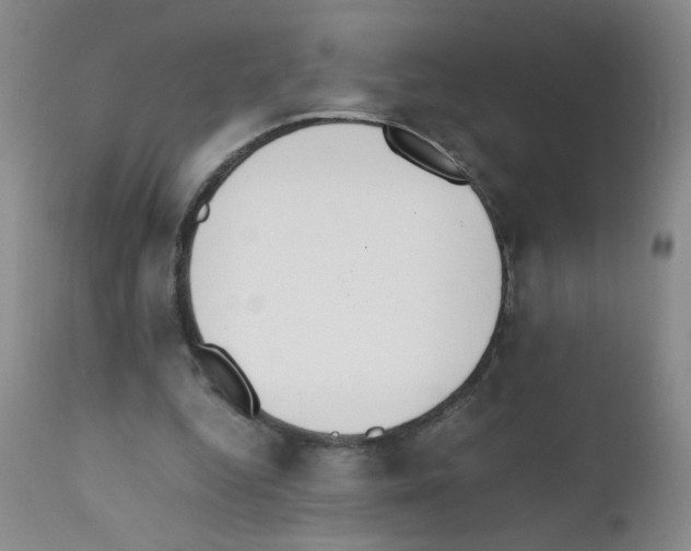 X0000111850344200909031732