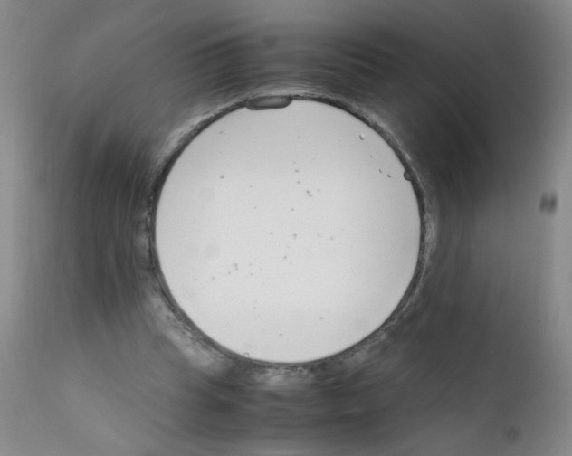 X0000111850345200909031732